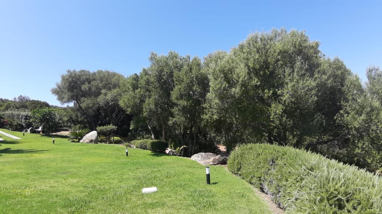פאלאו Seaview Apartments 79 מראה חיצוני תמונה